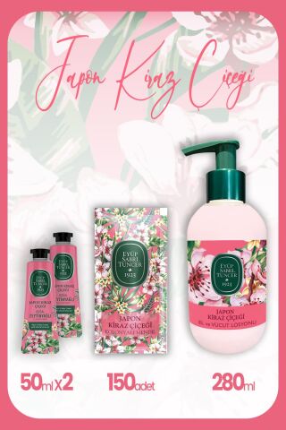 Eyüp Sabri Tuncer Japon Kiraz Çiçeği Seti 12