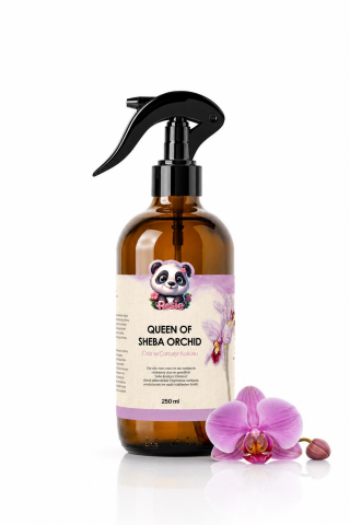 Rosie 3 adet Queen of Sheba Orchid Oda ve Çamaşır Spreyi 250 ml