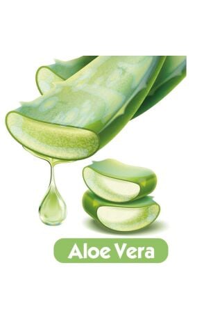 Baby Turco Softcare Aloe Vera Islak Bebek Havlusu 24x90 Yaprak
