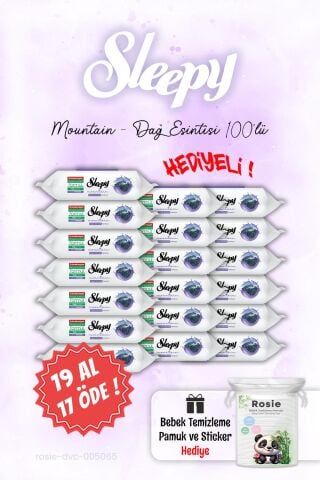 100'lü Sleepy Mountain 19 AL 17 ÖDE Dağ Esintisi Islak Havlusu ve ROSIE