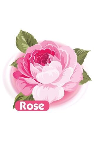 Baby Turco Islak Havlu Mendil 90 Yaprak Gül/rose 6 Lı Set 540 Yaprak Plastik Kapaklı