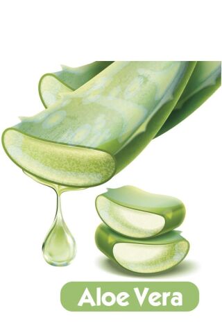 Baby Turco Turco Baby Islak Havlu 90'lı Soft Care X12 Adet