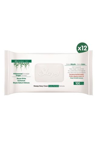 Sleepy Easy Clean Yüzey Temizlik Havlusu 100' lü x 12 Adet