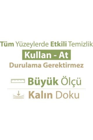 Baby Turco Yeşil Çam, Sabun Pratik Yüzey Temizlik Havlusu 100'lü