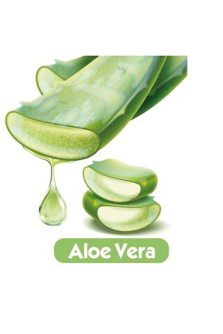 Baby Turco Softcare Aloea Vera Islak Havlu Mendil 90x9 810 Yaprak