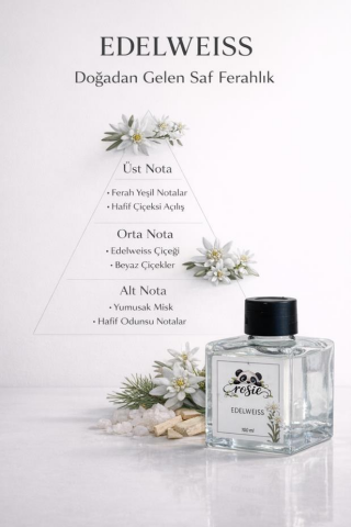 Sleepy 7 adet Petcare Şampuanı Lavanta Yağlı 500 ml ve ROSIE koku