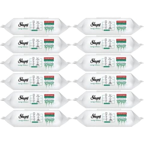 Sleepy Yüzey Temizlik Havlusu 100 Lü 12 adet