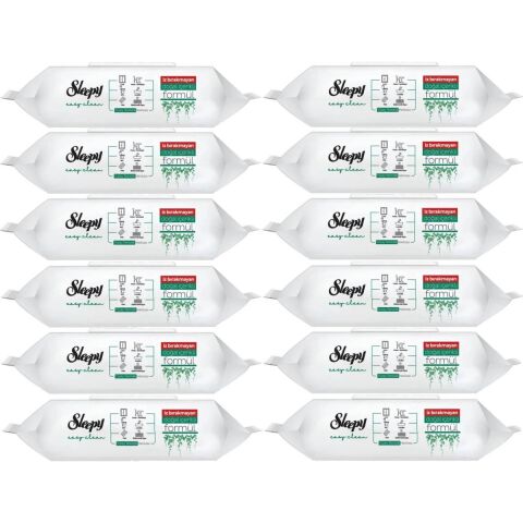 Sleepy Yüzey Temizlik Havlusu 100 Lü 12 adet