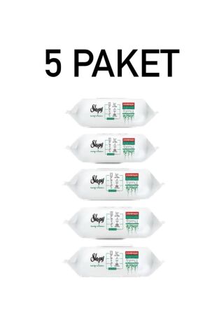 Sleepy Yüzey Temizlik Mendili Havlusu 100' Lü 5 PAKET 500 YAPRAK