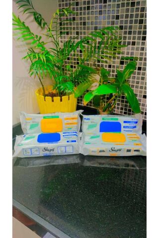 Sleepy Easy Clean Köpüklü Yağ Çözücü Havlu 2 Adet ve Kireç Sökücü Havlu 2 Adet 120 Yapraklı