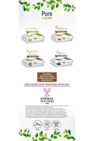 Pure Baby Standart Islak Havlu Meyveli 12x50 (600 YAPRAK) 12'li 600