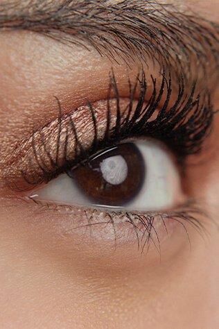 Loreal Paris True Match Fondöten 3.D/3.W, Maskara Curl Bounce Very Black, Super Stay Vinyl Ink Ruj 130