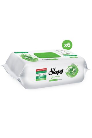 Sleepy Pine Yüzey Temizlik Havlusu&Mendili Çam Ferahlığı 6x100 (600 Yaprak)