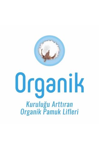 Sleepy Natural Günlük Ped Uzun 320 Adet Mega