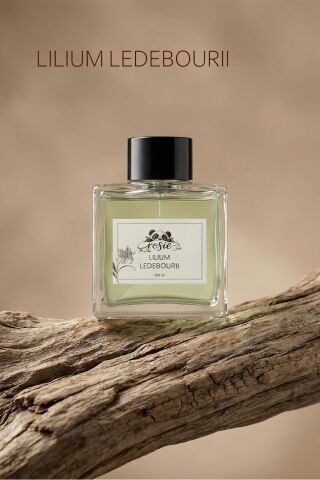 Rosie Lilium Ledebourii Çubuklu Oda Kokusu 100 ml – Lilyum Çiçeği Ferahlığı