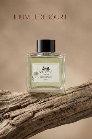 Rosie Lilium Ledebourii Çubuklu Oda Kokusu 100 ml – Lilyum Çiçeği Ferahlığı