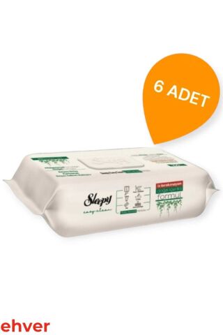 Sleepy 6'Lı Easy Clean Yüzey Temizlik Havlusu (600 Yaprak)