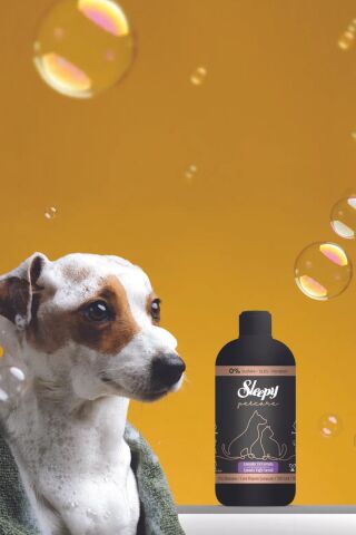 Sleepy Petcare Evcil Hayvan 60'lı Islak Havlusu ve Şampuan 500ml