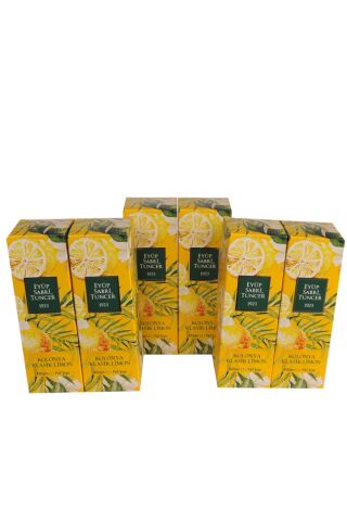 EST Klasik Limon Kolonyası 80 Derece Pet Şişe 400 ml x 6