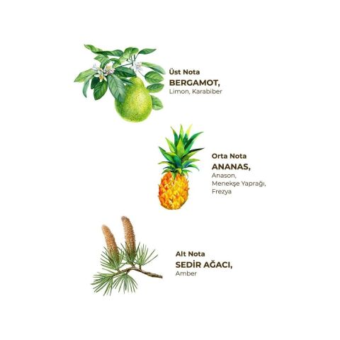 Okyanus Kolonyası 1 Lt - Koruma Kilitli Kapak