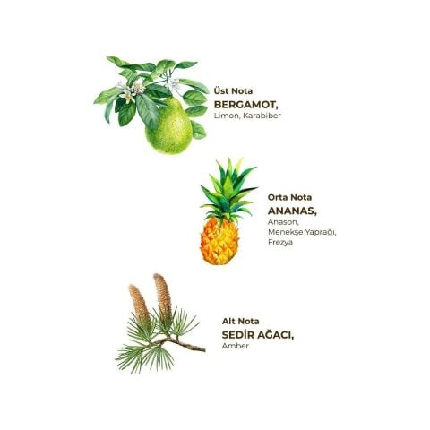 Okyanus Kolonyası 1 Lt - Koruma Kilitli Kapak