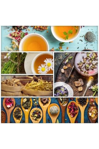 Doğadan Yeşil Çay Nar Yaban Mersini 20'li Paket x 3 Adet